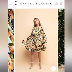 Rachel Parcell Chiffon Long Sleeve Sun Dress - Lemmon Print
